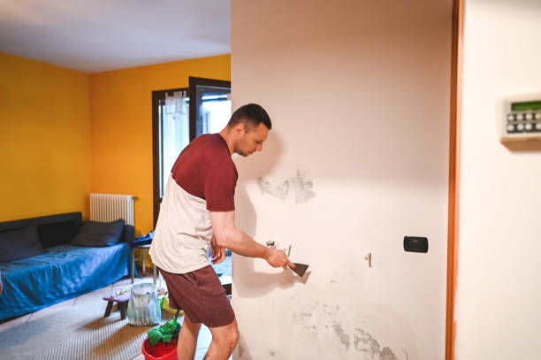 Best DIY Mold Remediation Support Services in Santa Rosa, TX